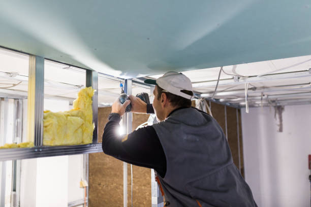 Best Residential Insulation in Spring Valley Lake, CA