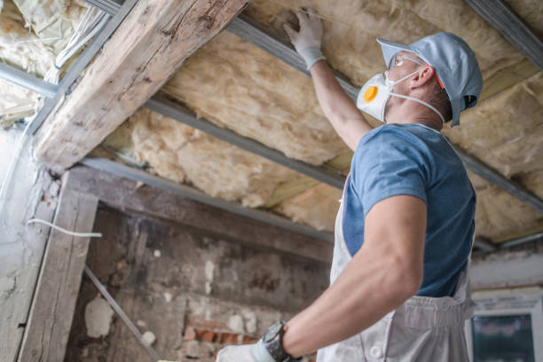 Best Commercial Insulation in Spring Valley Lake, CA