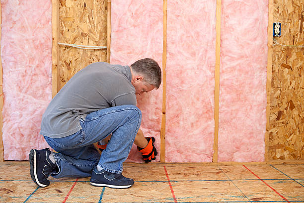 Best Insulation Installation Services in Spring Valley Lake, CA