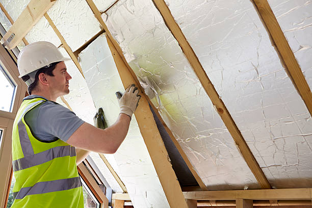Best Insulation Maintenance and Repair in Spring Valley Lake, CA